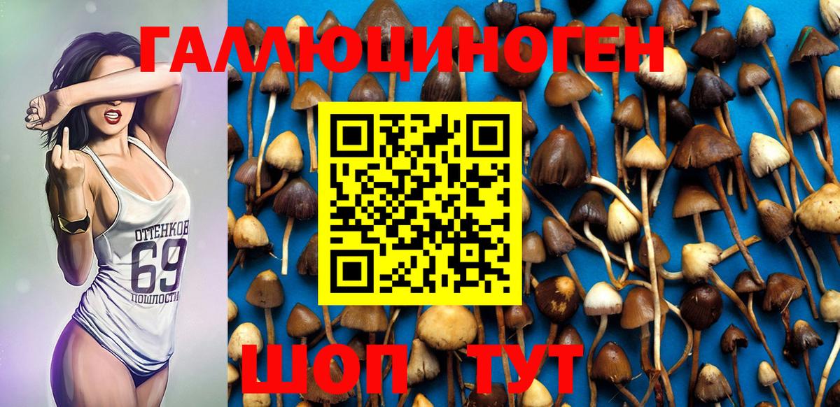 Протвино  Псилоцибиновые грибы MAGIC MUSHROOMS  Вход с VPN 